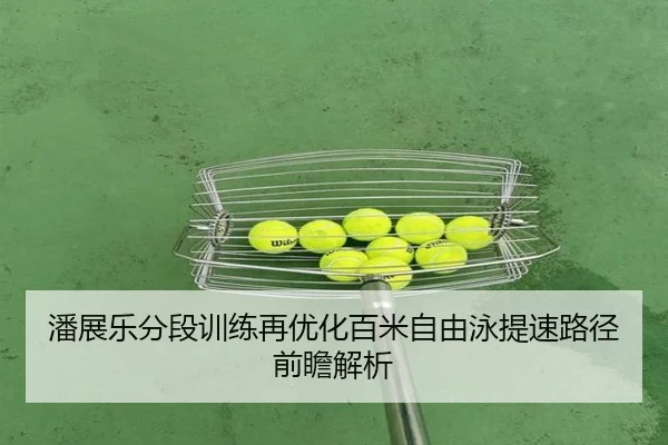 潘展乐分段训练再优化百米自由泳提速路径前瞻解析